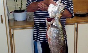 7kg Kabeljou op Huisbesoek gevang